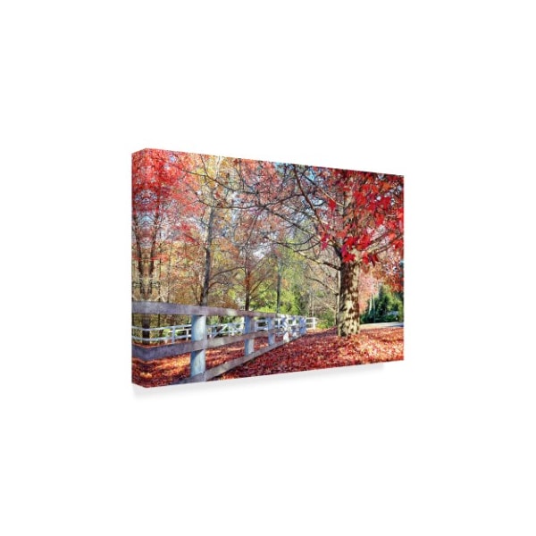 Beata Czyzowska Young 'Autumn Garden Red Trees' Canvas Art,12x19